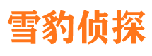 离石找人公司